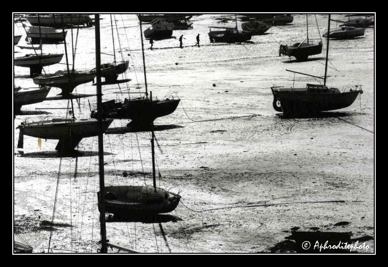 Port de Briac